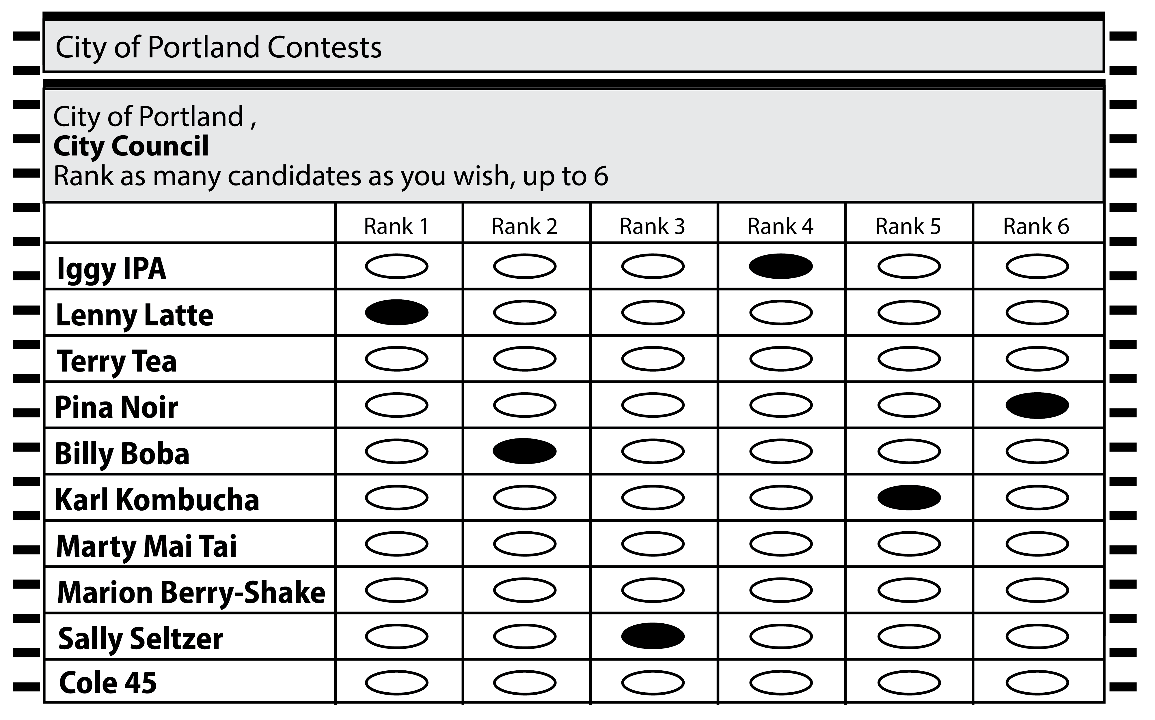 Portland ranked choice voting sample ballot - how to fill it out